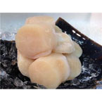 ホタテ柱 L 冷凍 生 1kg