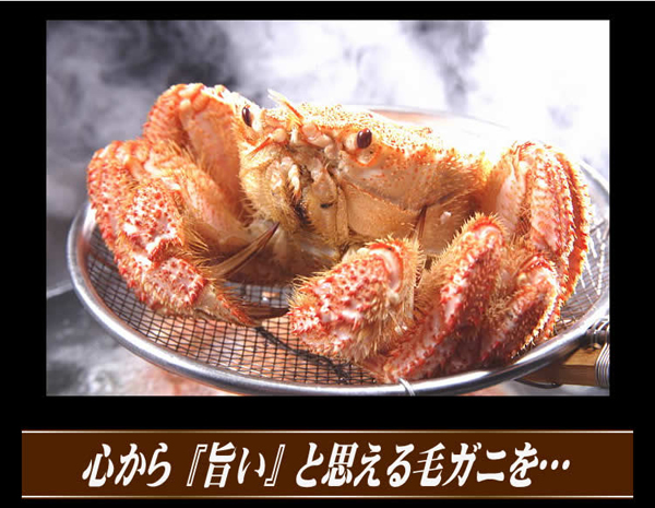 心から「旨い」と思える毛ガニを・・・