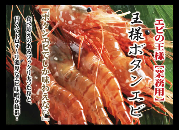 王様ボタンエビ