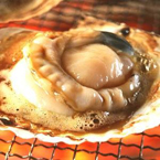 陸奥湾産 朝揚げホタテ 3kg