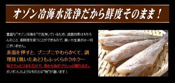 オゾン冷海水洗浄だから鮮度そのまま！