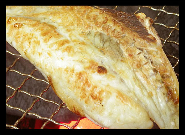 焼き河豚