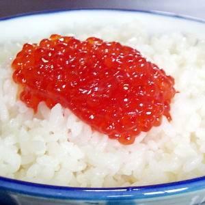 参考画像2