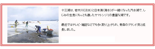 十三湖は、岩木川（淡水）と日本海（海水）が一緒になった汽水湖で、しじみの生息にもっとも適したヤマトシジミの豊富な湖です。