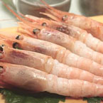 【生食可能】天然甘えび 刺身用1kg