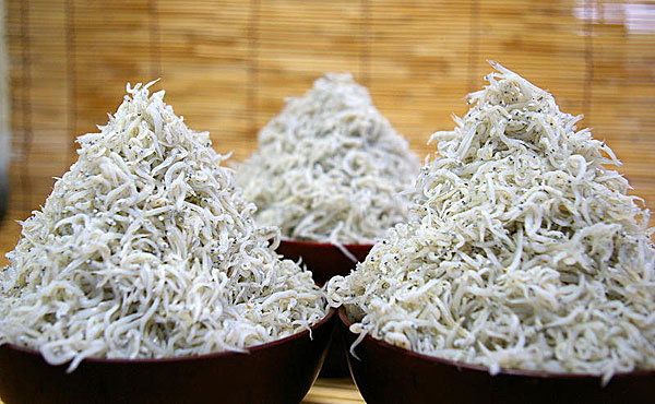 しらす干し　盛り付け例