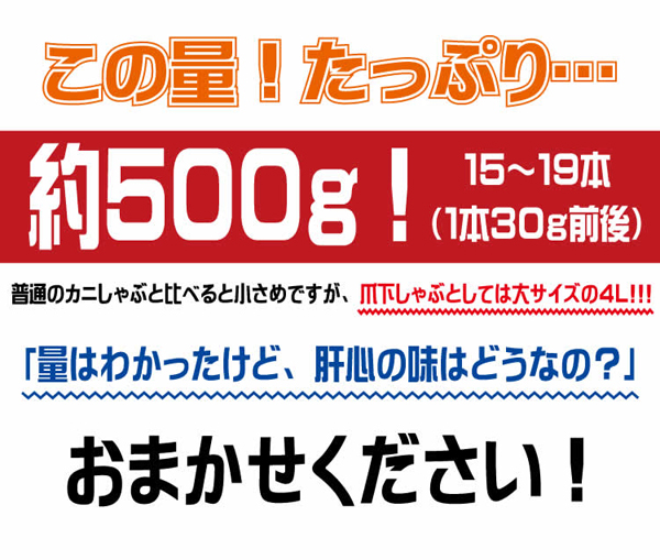 この量！たっぷり・・・約500g！