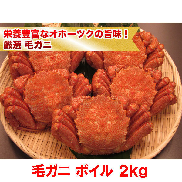 栄養豊富なオホーツクの旨味！厳選毛ガニ