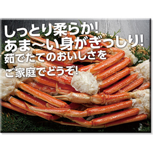 item　メイン画像