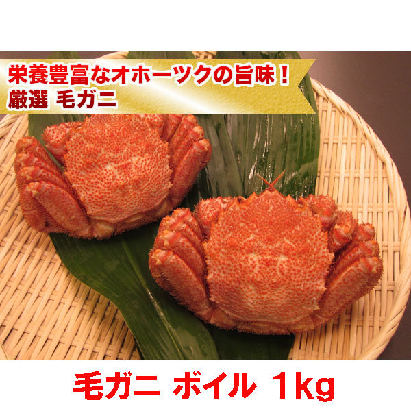 栄養豊富なオホーツクの旨味！厳選毛ガニ