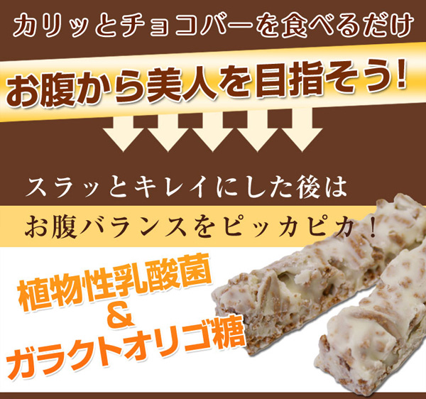 植物性乳酸菌＆ガラクトオリゴ糖
