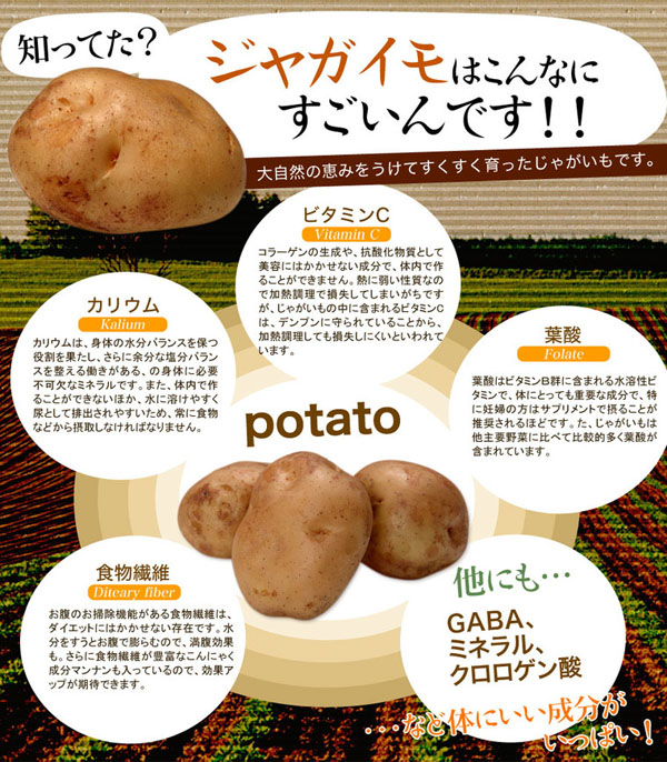ジャガイモはこんなにすごいんです！