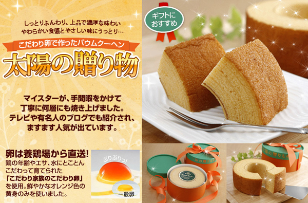 太陽の贈り物