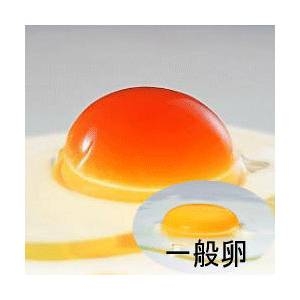 参考画像4
