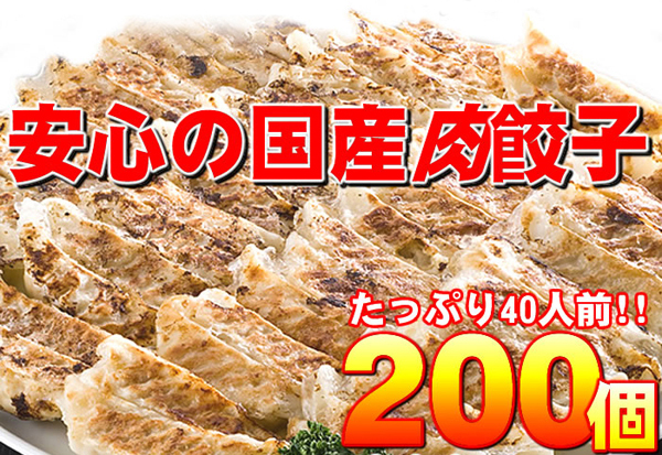 安心の国産肉餃子